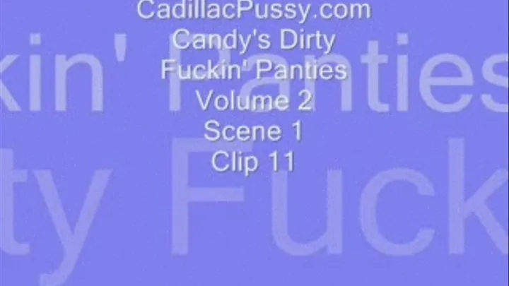 Candy's Dirty Fuckin' Panties Volume 2 Scene 1 Clip 11