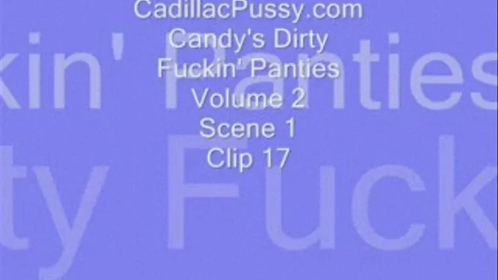 Candy's Dirty Fuckin' Panties Volume 2 Scene 1 Clip 17