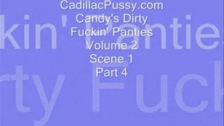 Candy's Dirty Fuckin' Panties Volume 2 Scene 1 Part 4