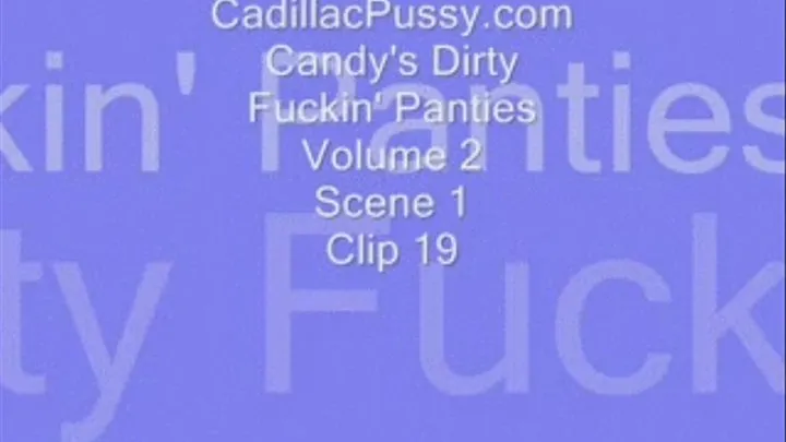 Candy's Dirty Fuckin' Panties Volume 2 Scene 1 Clip 19