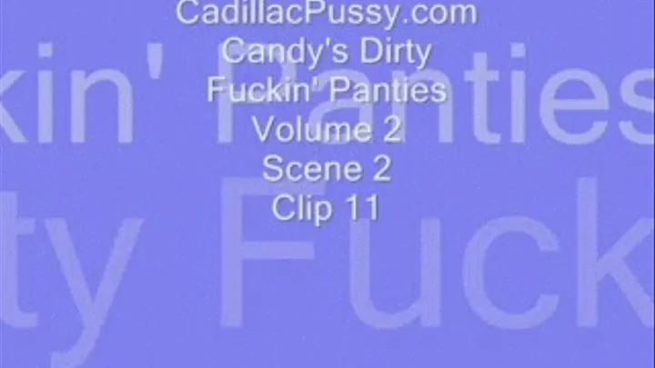 Candy's Dirty Fuckin' Panties Volume 2 Scene 2 Clip 11