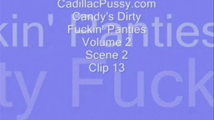 Candy's Dirty Fuckin' Panties Volume 2 Scene 2 Clip 13