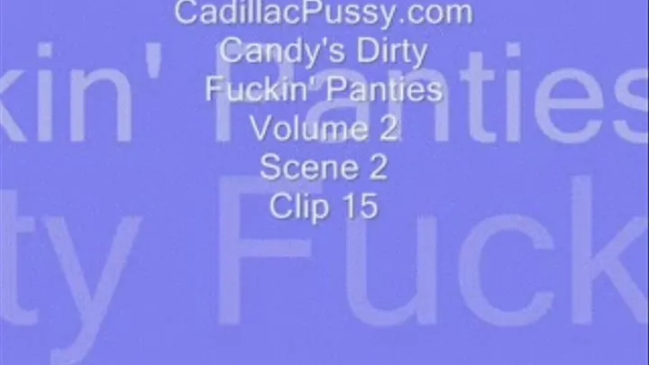 Candy's Dirty Fuckin' Panties Volume 2 Scene 2 Clip 15