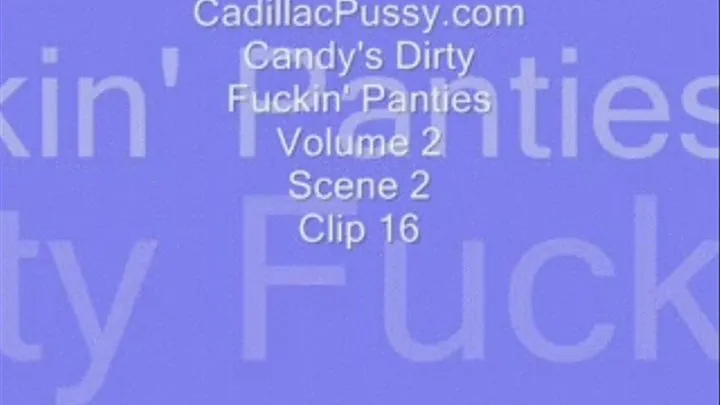 Candy's Dirty Fuckin' Panties Volume 2 Scene 2 Clip 16