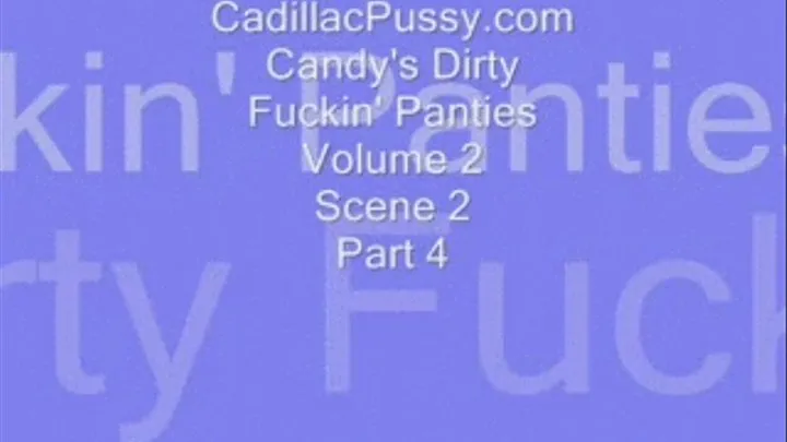 Candy's Dirty Fuckin' Panties Volume 2 Scene 2 Part 4