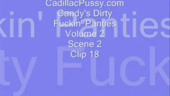 Candy's Dirty Fuckin' Panties Volume 2 Scene 2 Clip 18