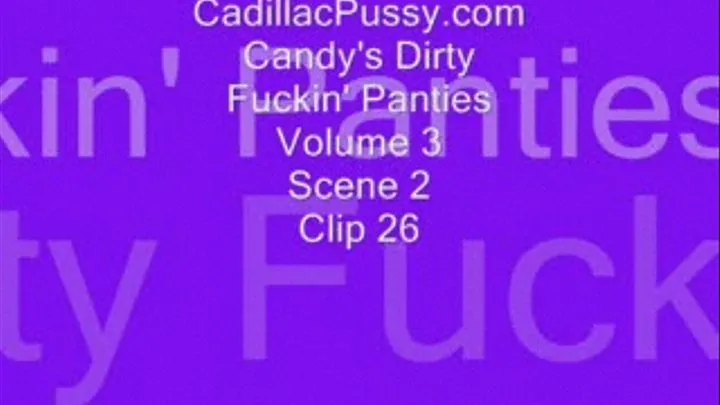 Candy's Dirty Fuckin' Panties Volume 3 Scene 2 Clip 26