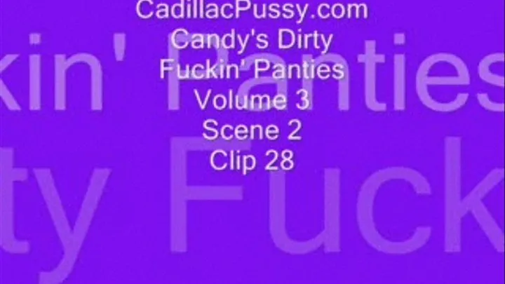 Candy's Dirty Fuckin' Panties Volume 3 Scene 2 Clip 28