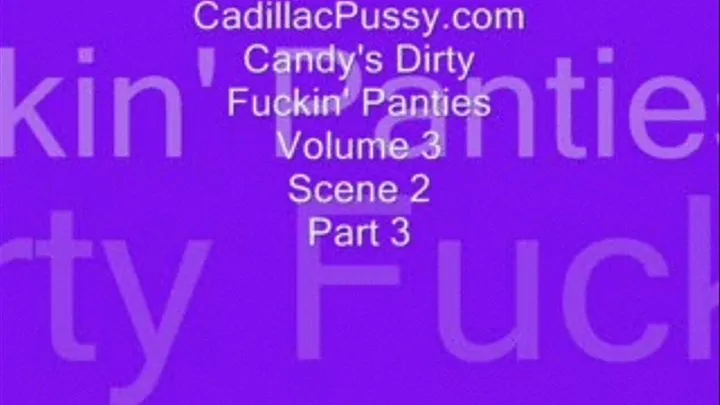 Candy's Dirty Fuckin' Panties Volume 3 Scene 2 Part 3