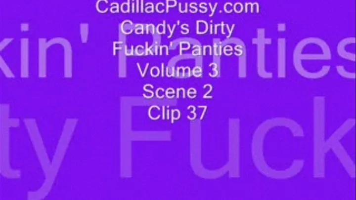 Candy's Dirty Fuckin' Panties Volume 3 Scene 2 Clip 37