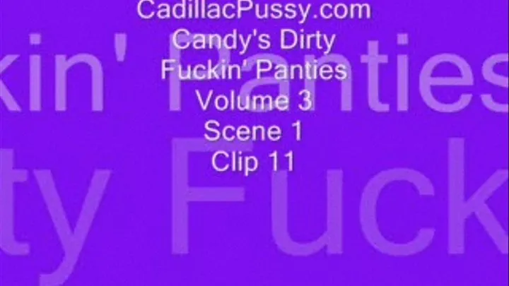 Candy's Dirty Fuckin' Panties Volume 3 Scene 1 Clip 11