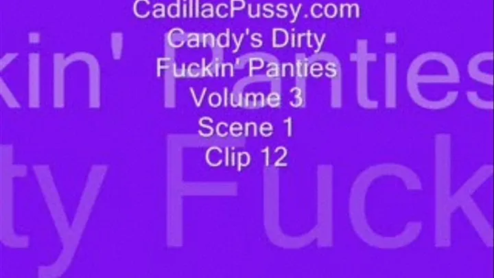 Candy's Dirty Fuckin' Panties Volume 3 Scene 1 Clip 12