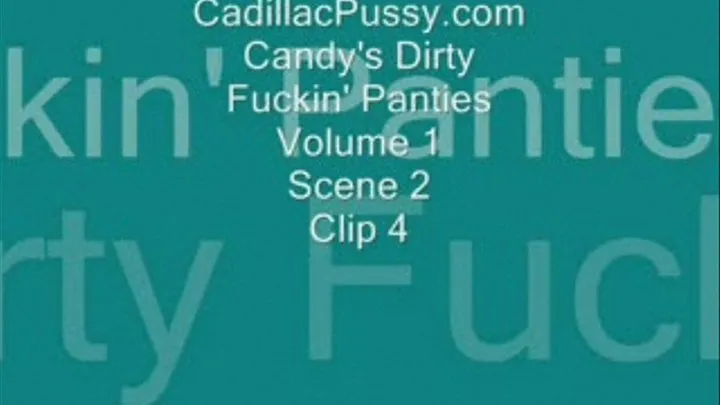 Candy's Dirty Fuckin' Panties Volume 1 Scene 2 Clip 4