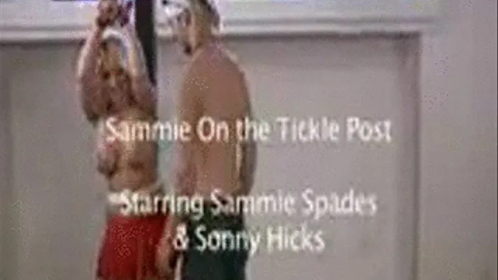 Sammie on the Tickle Post 3pg