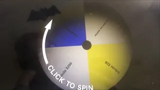 Bday Tribute Wheel Spin (TODAY IS MY BDAY!) 3 spins-Easy Version