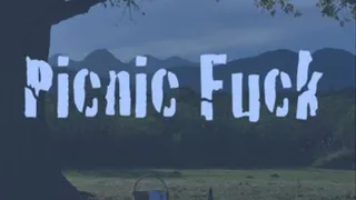 Picnic Fuck (Audio) m4a