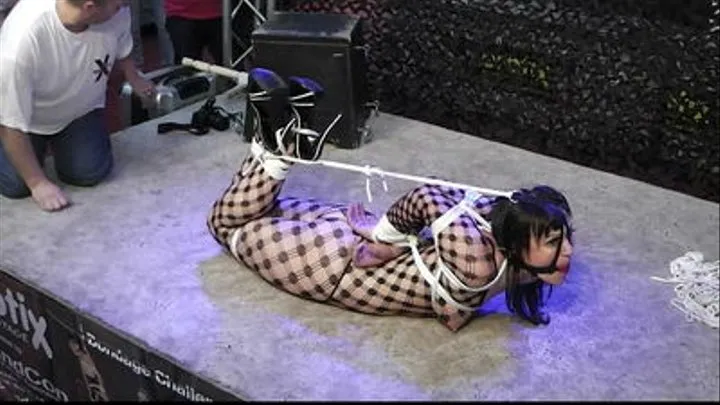 Chicken WIng Hogtie and Gag Harness for Yvette