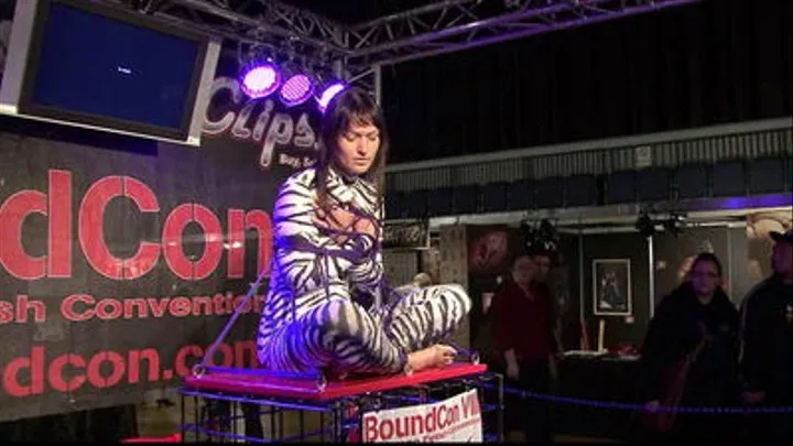 Yvette - Taming The Zebra - Live Escape Attempt