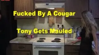 Fucked Over By A Cougar