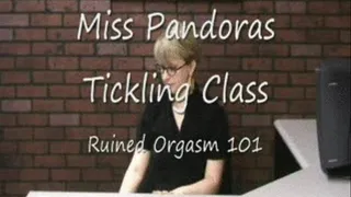 Ruined Orgasm 101