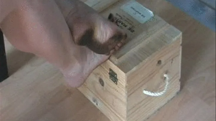 07072009 Under the table slave and lick very dirty feet part 2
