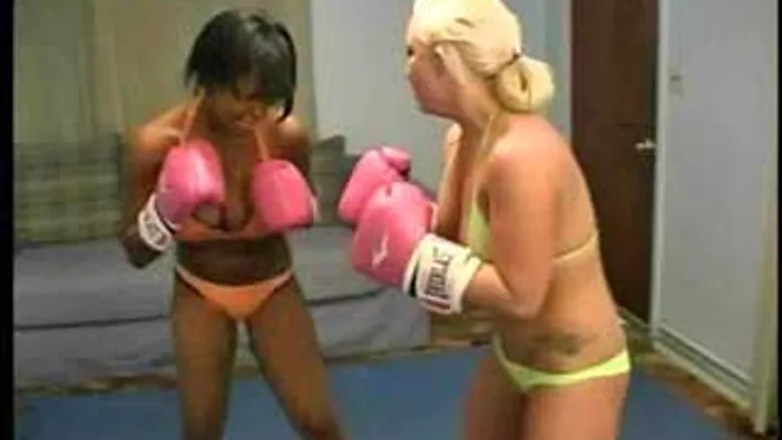 Big Tit Boxing Black Girl vs White Girl Catfight Sammy & Denika Part 01