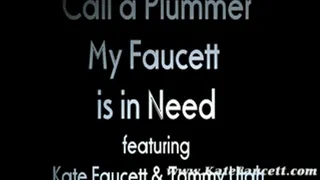 : Call a Plummer: My Faucett is in Need