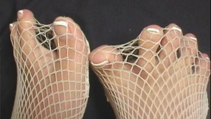 FISHNET TOES