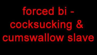 bi - cocksucking and cumswallow slave