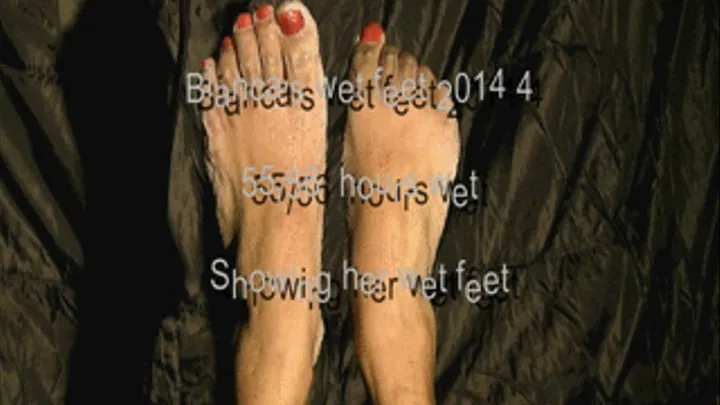 Bianca's wet feet 2014 4