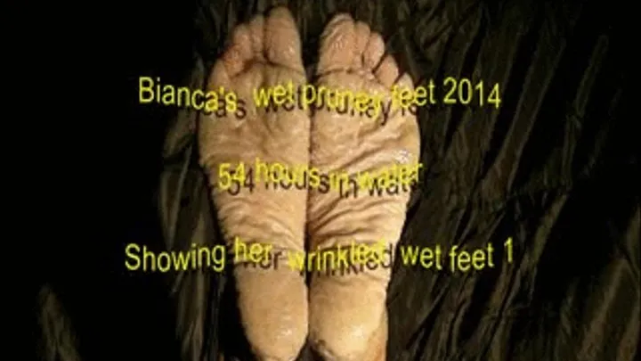 Bianca's wet feet 2014 1