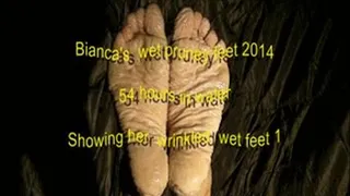 Bianca's wet feet 2014 1