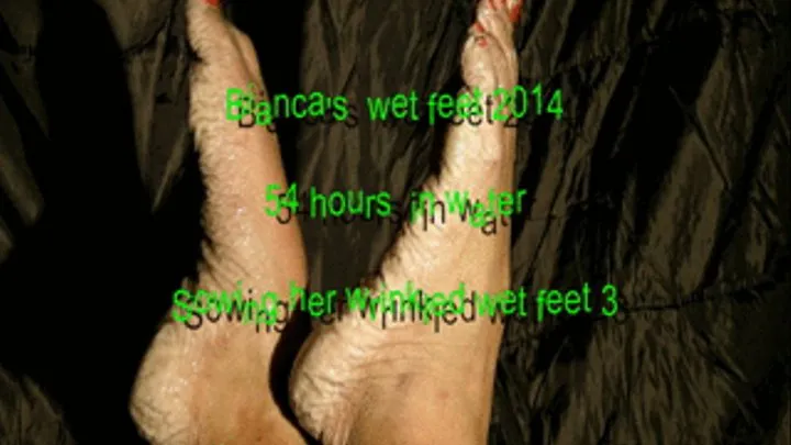 Bianca's wet feet 2014 3