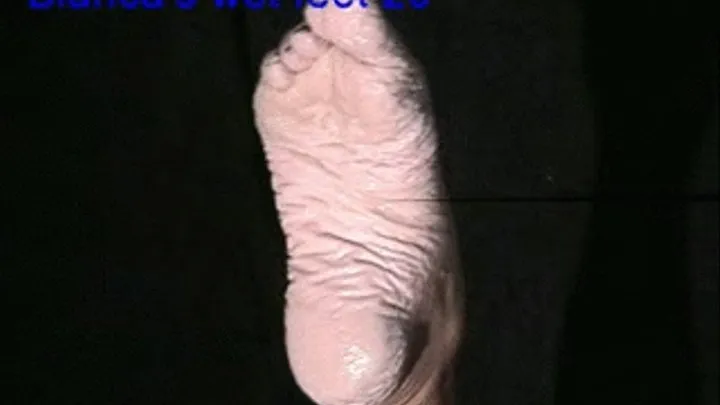 Bianca's wet feet 2009 part 1-4