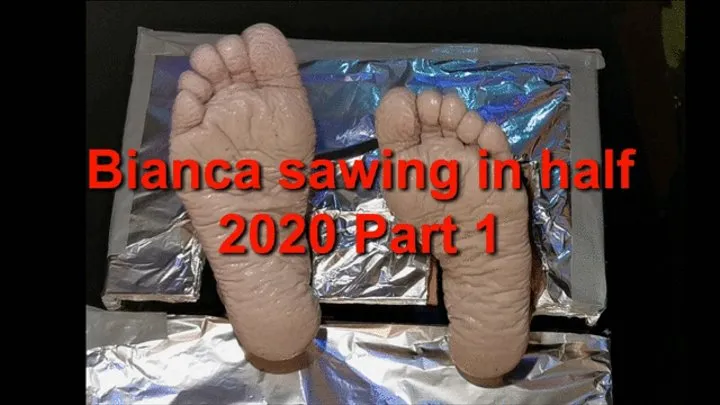 Bianca sawing in half part 1