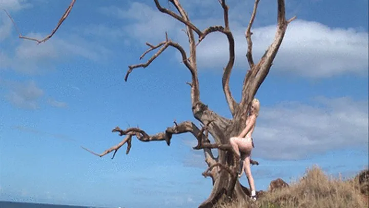 Naked Tree Climbing by Blonde Woman