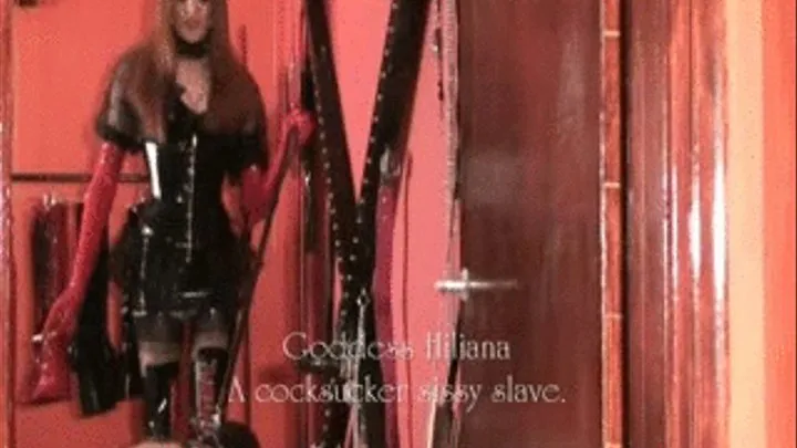 A Cocksucker sissy slave.