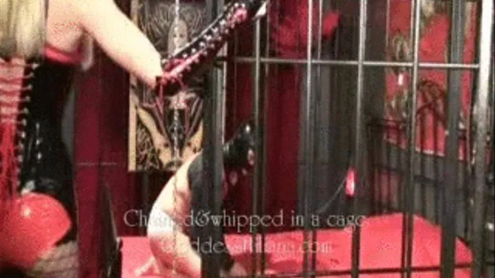 Chained&whipped in cage