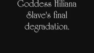 Slave'S final degradation