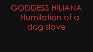 Humiliation of a new slave