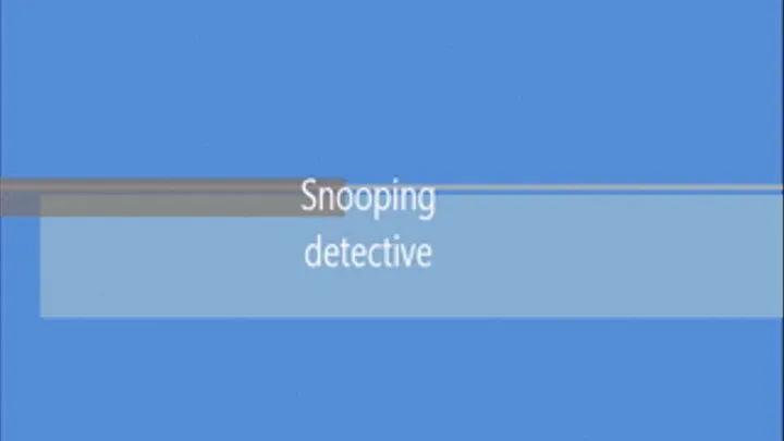 Snooping detective