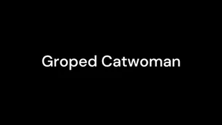 Groped Catwoman