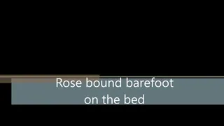 Rose bound barefoot on bed