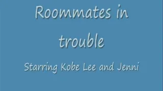 Roommates in trouble full version