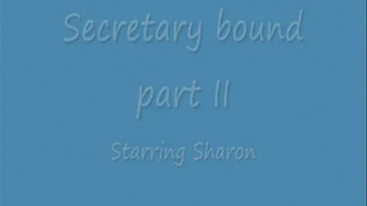 Secretary bound - part two of two