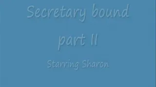 Secretary bound - part two of two