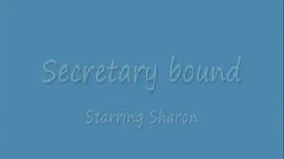 Secretary bound - part one of two