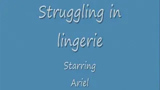 Ariel lingerie bound