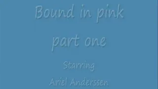 Bound in pink part one