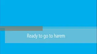 Ready for harem